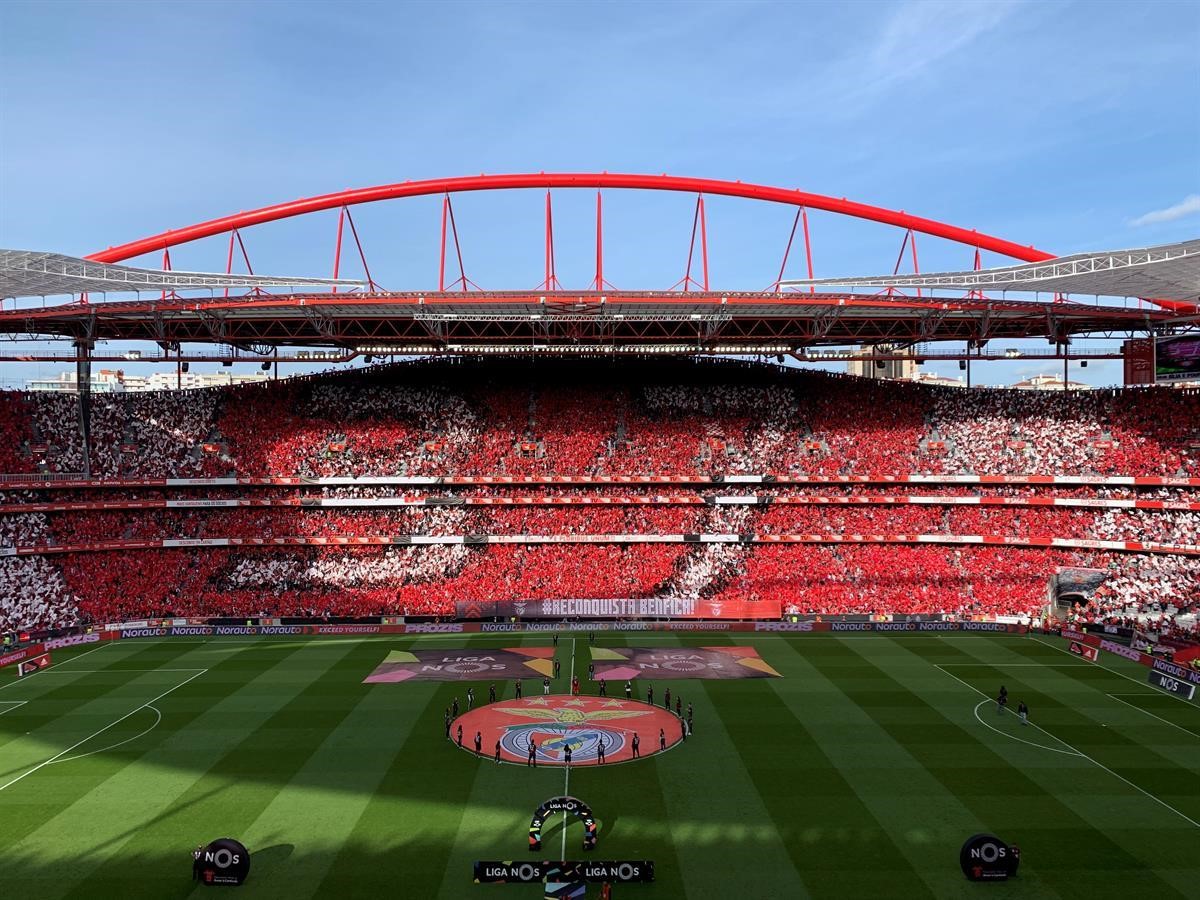 Artigo de opinião: Benfica, campeão!