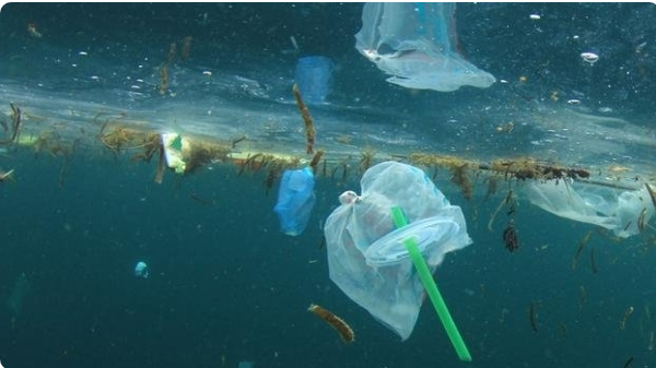 Ambiente: DECO pede aos consumidores que denunciem o excesso de plástico