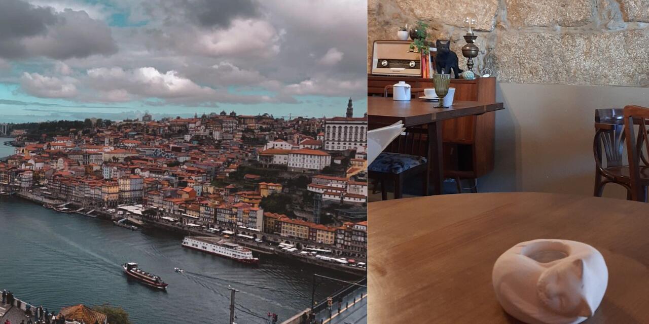 Cat Café, rio Douro e Livraria Lello – Roteiro de 2 dias no Porto