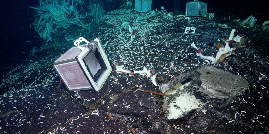 Veículo operado remotamente munido de  maquinaria
Fonte: Schmidt Ocean Institute 